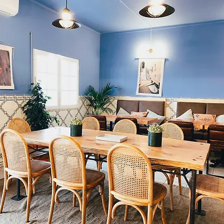 Malacuna Peniche 페렐